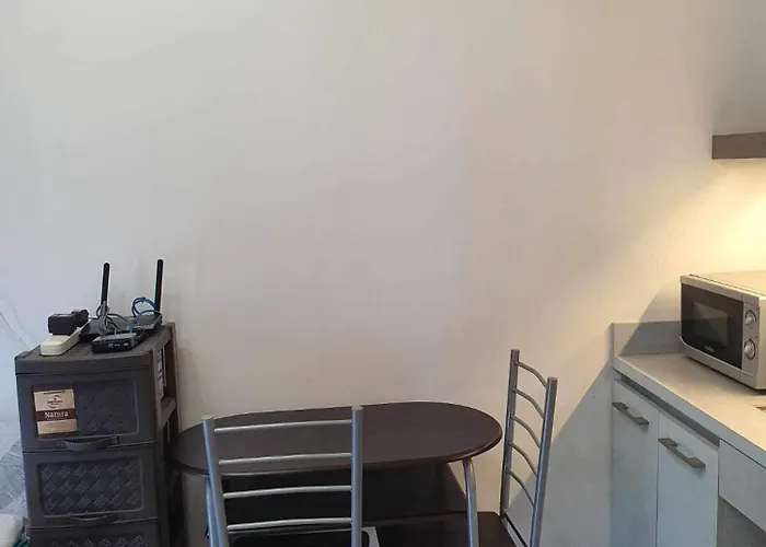A With A View, 1 Bdrm With Balcony And Netflix Access Apartment *